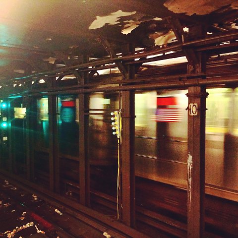 IMG-5119.JPG