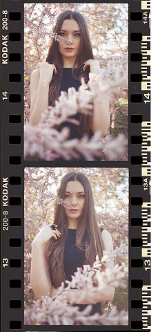 alla244-1.jpg