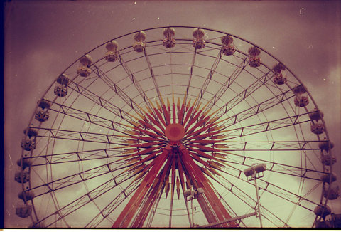img441.jpg